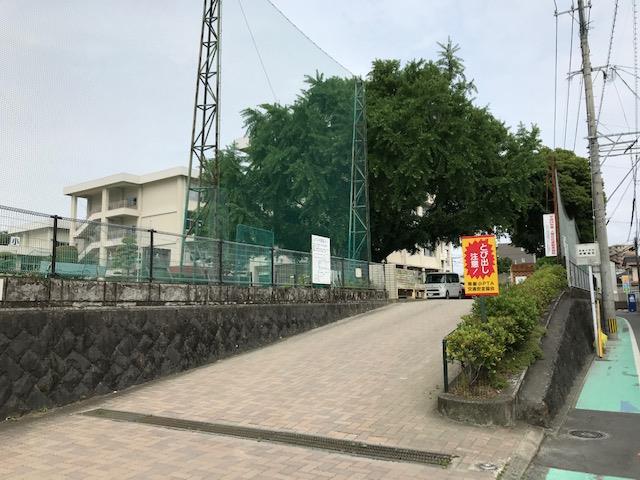 小学校　熊本市立黒髪小学校（小学校）まで533m