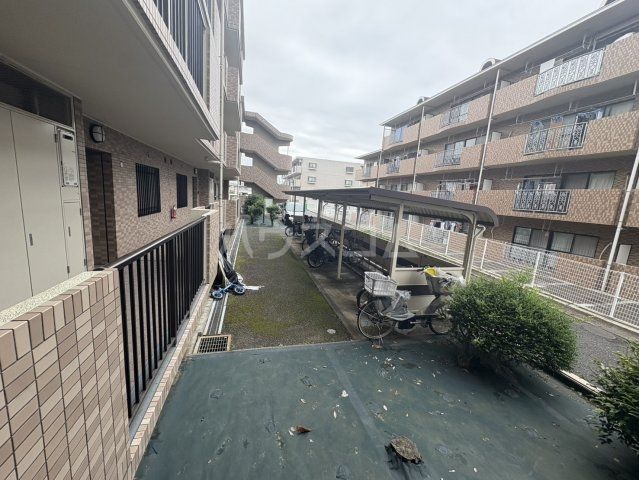 庭