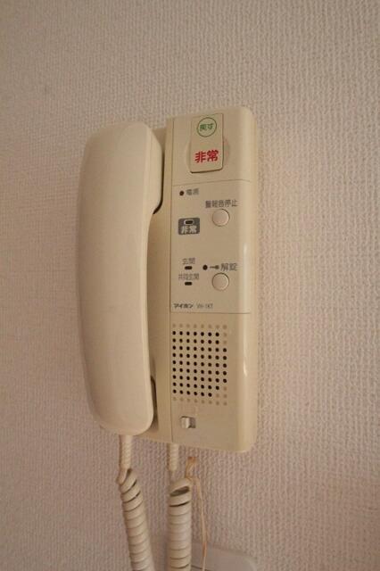 グレイスミヤザキのその他写真