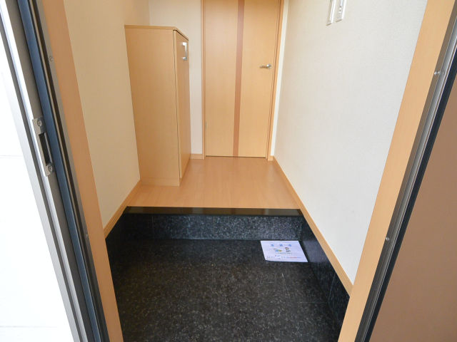 玄関　※同間取り別号室の写真です。