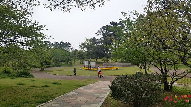 カーサドゥセンプレコンテの周辺写真
