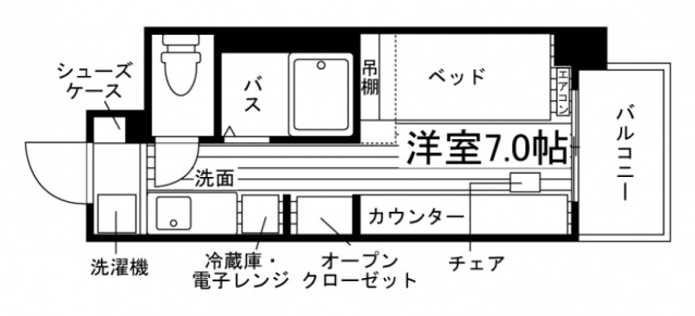 徳島市助任橋のマンションの間取り