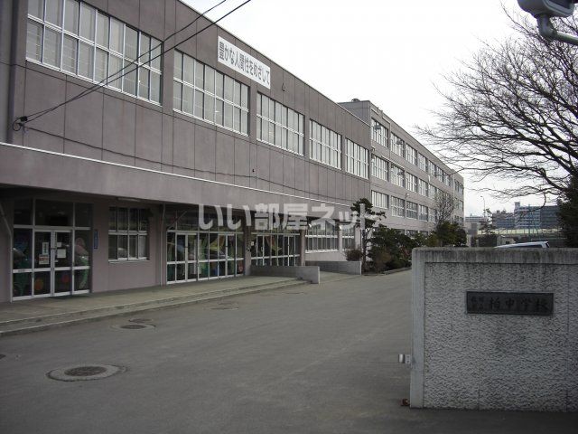 中学校　柏中学校（中学校）まで536m
