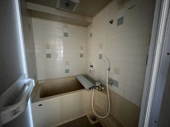 バス・シャワールーム　※他号室の写真です