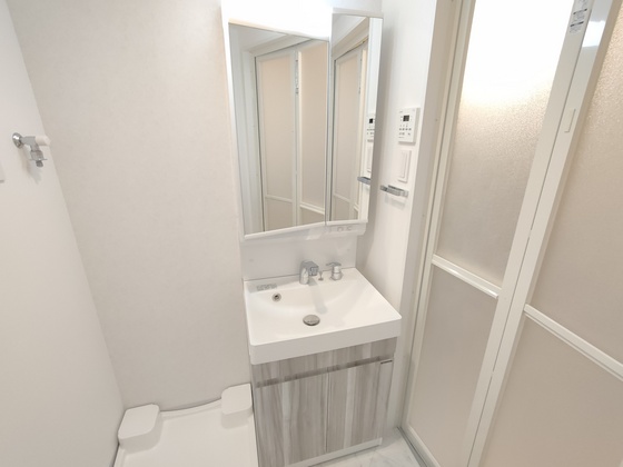 洗面設備　別部屋の写真