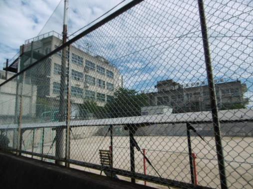 小学校　東大阪市立 上四条小学校（小学校）まで212m