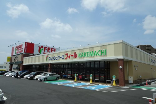 スーパー　フィール KAKEMACHI店（スーパー）まで244m