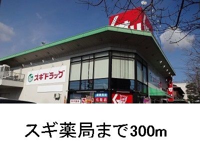 ドラックストア　スギ薬局（ドラッグストア）まで300m