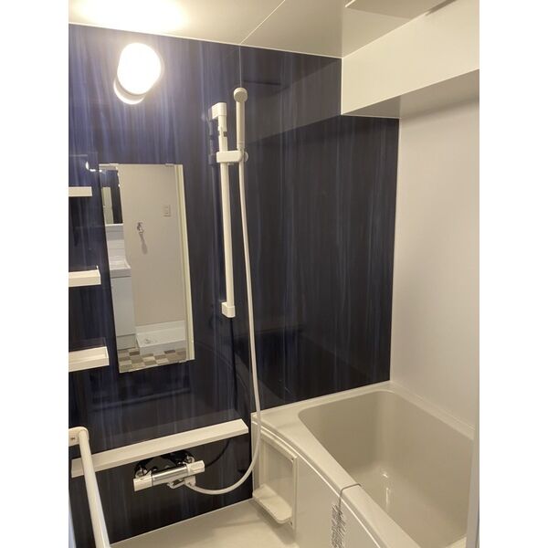 バス・シャワールーム　※写真は同じマンションの違う部屋のものになります。