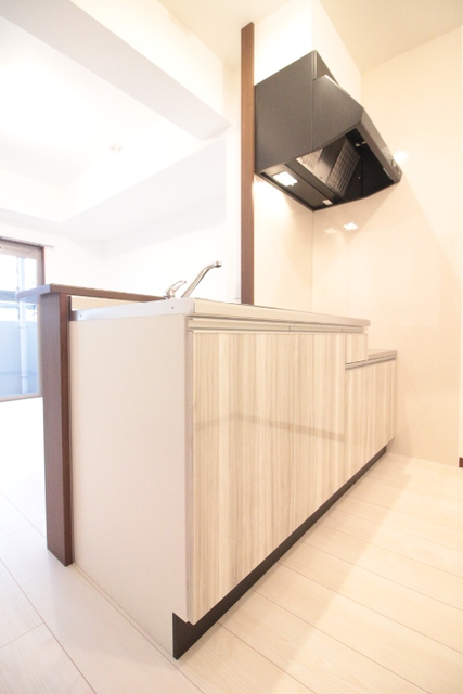 キッチン　２０５号室の写真となります。