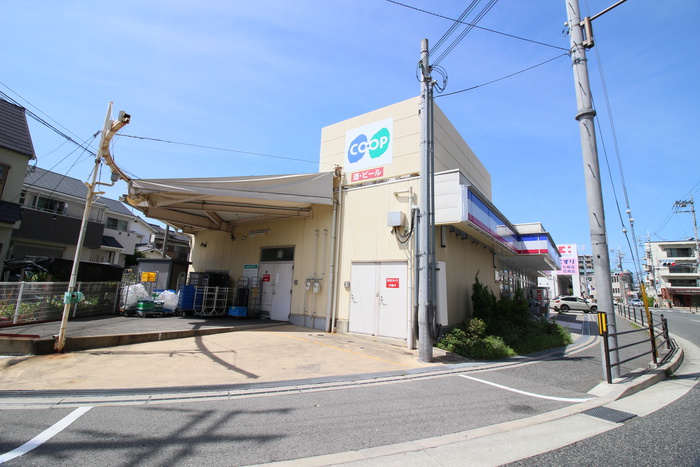 スーパー　コープ（スーパー）まで250m