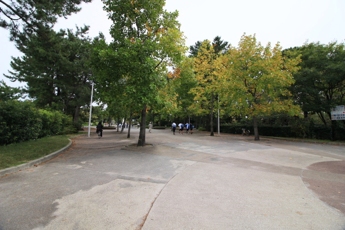 公園　服部緑地（公園）まで1500m