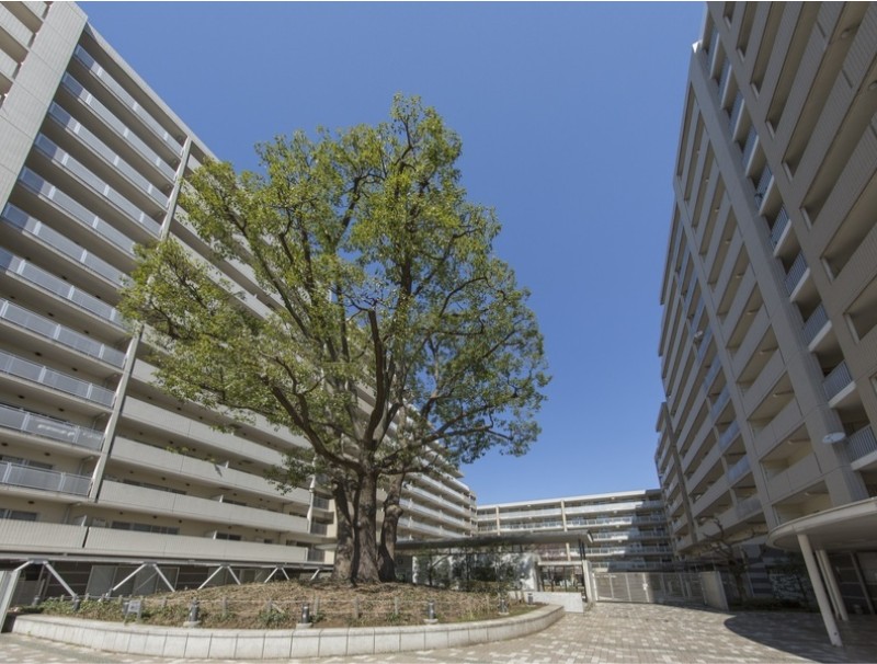 建物外観　外観もきれいです