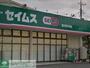 ドラックストア　ドラッグセイムス東大宮店（ドラッグストア）まで1530m