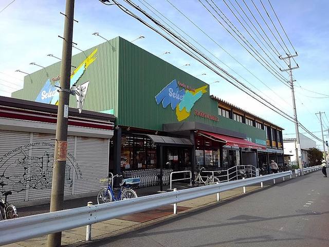 スーパー　セレクション三郷（スーパー）まで1300m