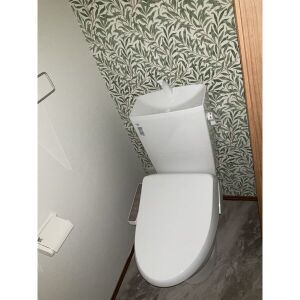 Angersのトイレ写真