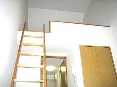 コスモパレス_その他_0