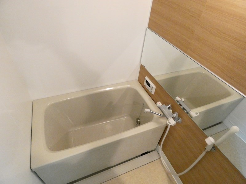 バス・シャワールーム　※同タイプの他のお部屋です