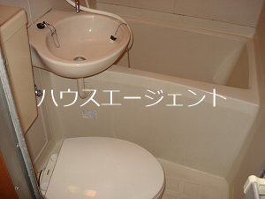 洗面設備　洗面台はお風呂にあります。