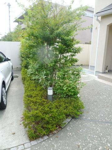 その他共有部分　★植栽★