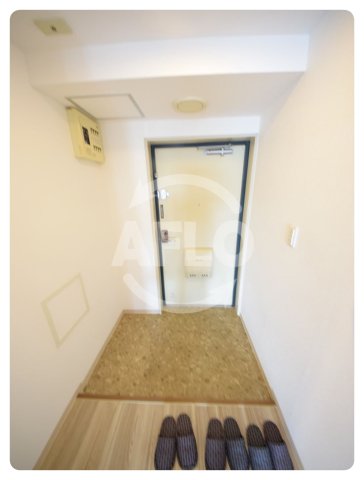 玄関　グレイスコート上本町　玄関