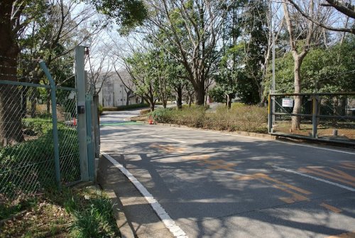 公園　千葉北部総合公園（公園）まで307m