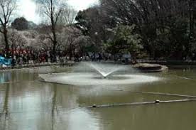 公園　赤塚溜池公園（公園）まで572m