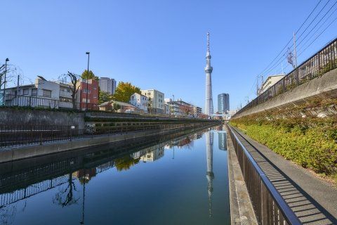 その他　北十間川に写る逆さスカイツリー03（その他）まで813m