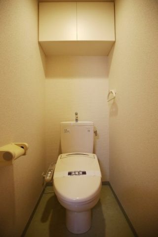 トイレ　（別タイプ参考写真）プレール・ドゥーク文京白山　文京区白山2
