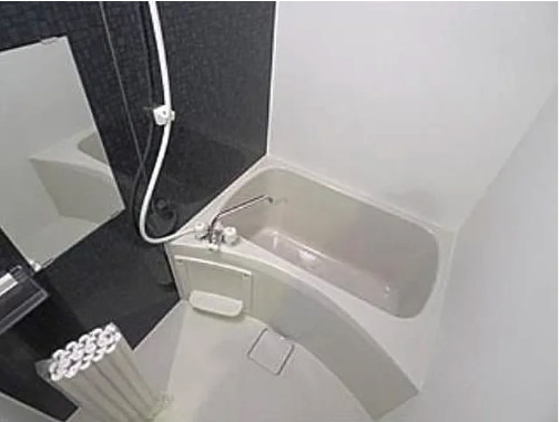 つくばエクスプレス 八潮駅 徒歩9分 3階建 築11年の風呂写真
