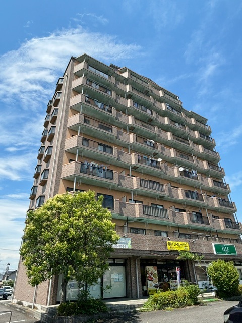 建物外観　南向きで日当たり良好