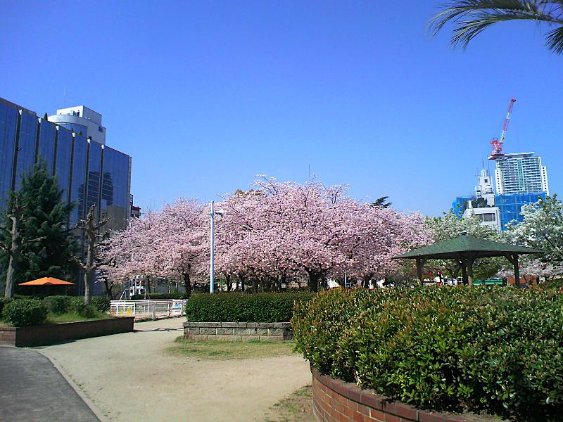 【ビオール大阪大手前タワーの公園】