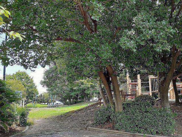 公園　雨池公園（公園）まで400m