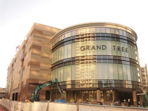 スーパー　イトーヨーカドー グランツリー武蔵小杉店（スーパー）まで1037m