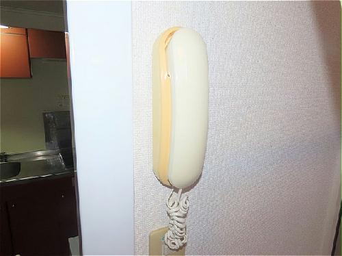 セキュリティ　インターホンあり