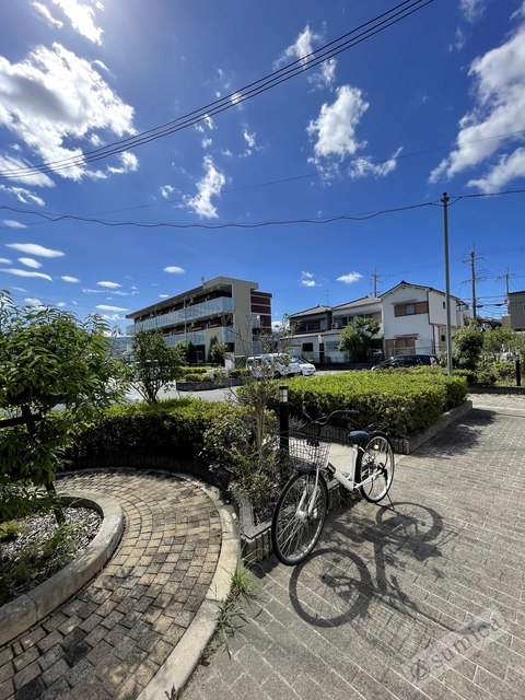 駐車場　広々とした駐車スペース。ハイルーフ車ＯＫ。