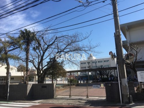 小学校　横浜市立白幡小学校（小学校）まで188m