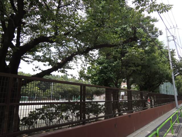 小学校　桜川小学校（小学校）まで554m