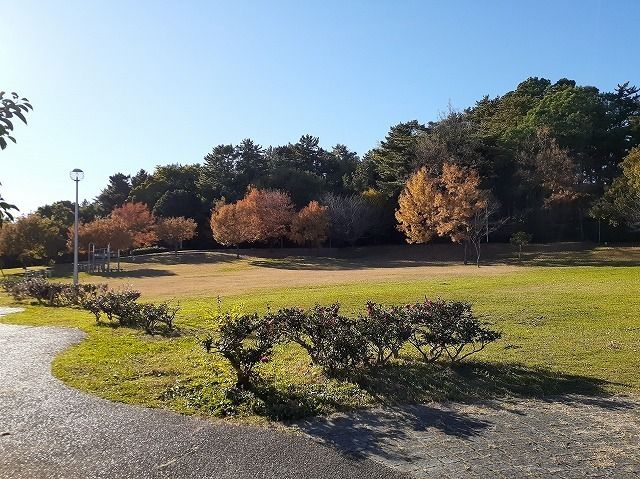 公園　四ツ池公園（公園）まで800m