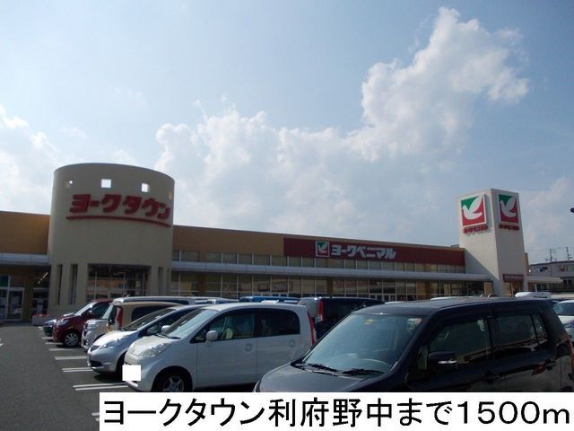 ショッピングセンター　ヨークタウン利府野中店（ショッピングセンター）まで1500m
