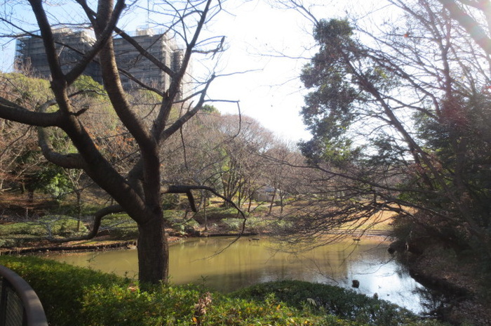 公園　茅ヶ崎公園（公園）まで548m