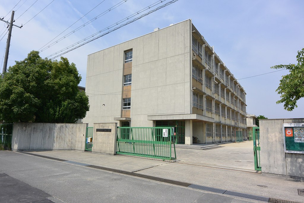 中学校　枚方市立杉中学校（中学校）まで1364m