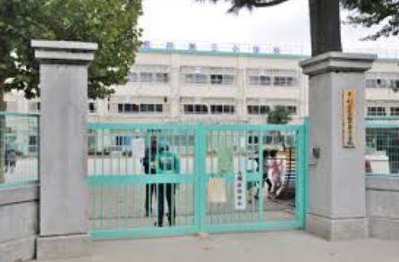 小学校　杉並区立桃井第三小学校（小学校）まで494m
