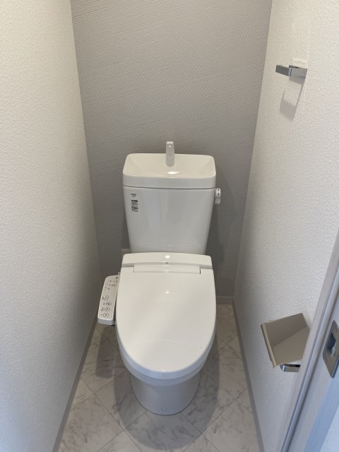 トイレ　同物件別号室のものです。