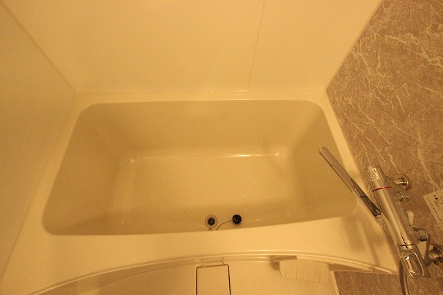 バス・シャワールーム　同物件別号室のものです。