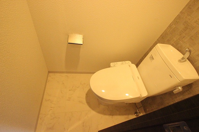 トイレ　同物件別号室のものです。