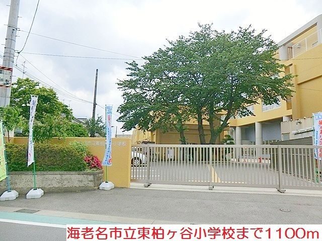 小学校　東柏ヶ谷小学校（小学校）まで1100m