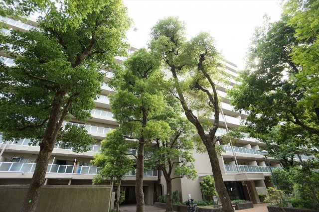 建物外観　人気の分譲マンション♪