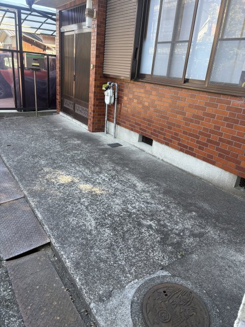 庭