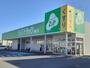 ドラックストア　ジップドラッグ岩出店様（ドラッグストア）まで1500m
